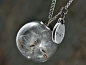 Mobile Preview: PURE & SIMPLE silver necklace with Real Dandelion