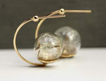 Real dandelion lantern earrings sterling gold plated