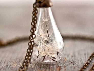 Handblown glass teardrop with REAL DANDELIONS