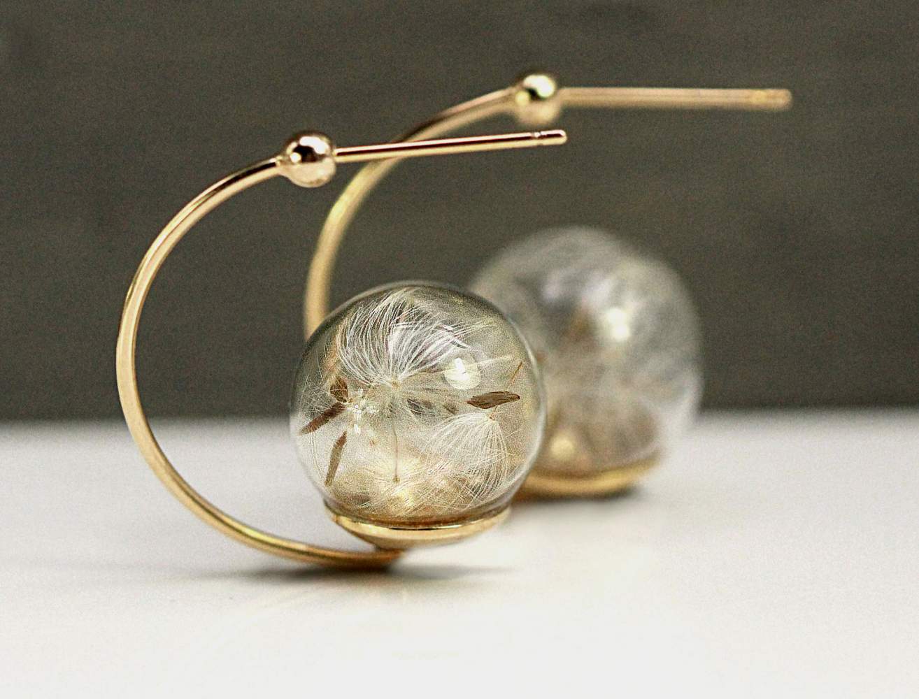 Real dandelion lantern earrings sterling gold plated
